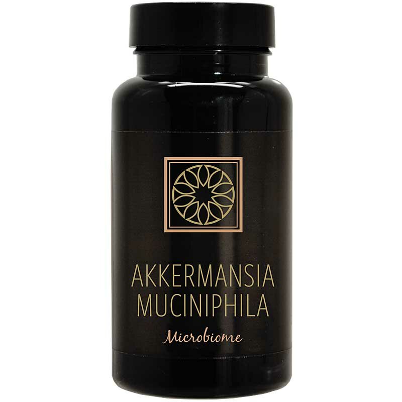 Blend New Day - Akkermansia Muciniphila
