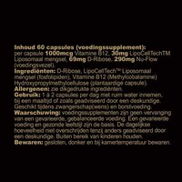 Blend New Day - Vitamine B12 liposomaal Ingredi&euml;nten