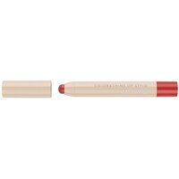 Color and Shine Lip Stylo 10 Almond Rose