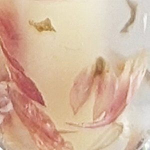 Hydrating Lip Elixer Amaranthus 02 Flower Symphony