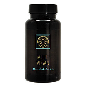 Blend New Day Multi Vegan