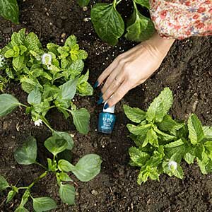 OPI All Heal Queen Mother Earth - Nature Strong - Sfeer