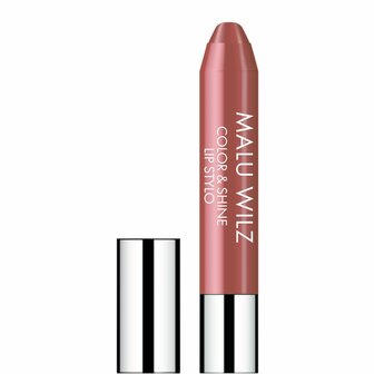 Color and Shine Lip Stylo 10 Almond Rose