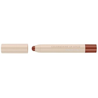 Color and Shine Lip Stylo 34 Cinnamon Flame