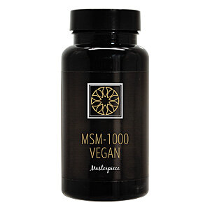 Blend New Day - MSM-1000 Vegan