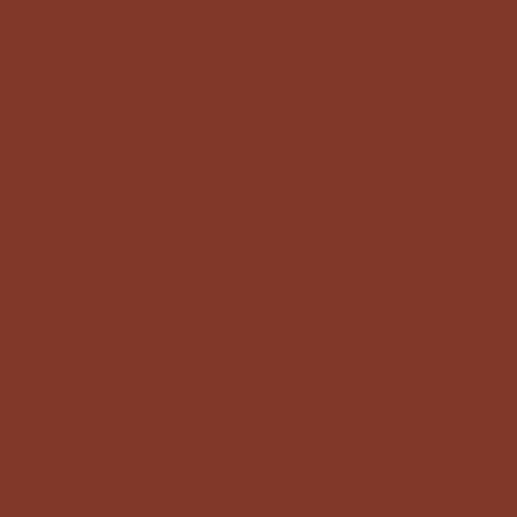 Color and Shine Lip Stylo 34 Cinnamon Flame - dot