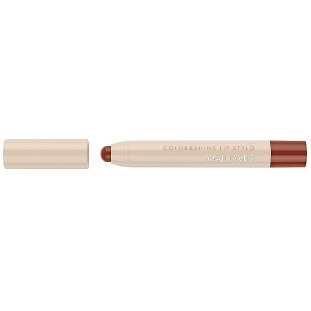 Color and Shine Lip Stylo 34 Cinnamon Flame