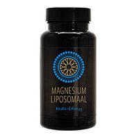 Blend New Day Magnesium Liposomaal