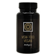 Blend New Day - MSM-1000 Vegan